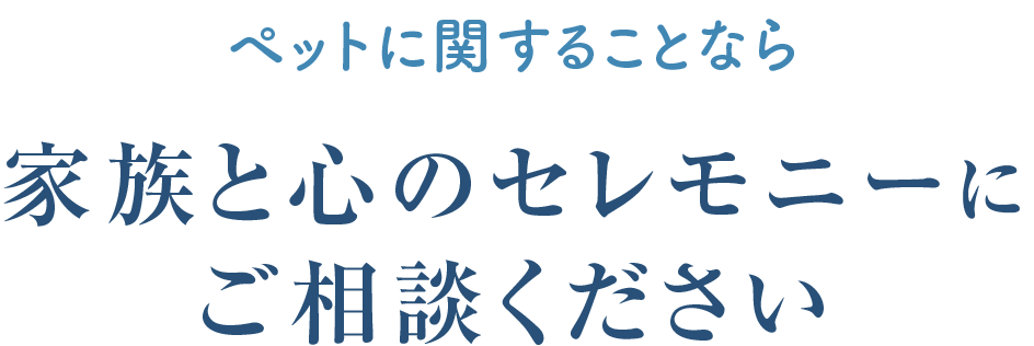 ペットに関することなら家族と心のセレモニーにご相談ください