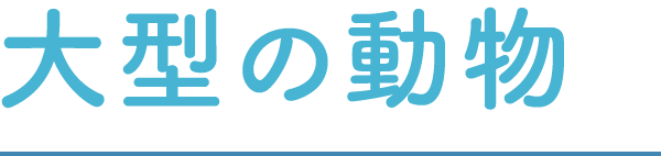 大型の動物