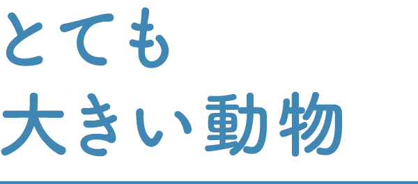 とても大きい動物