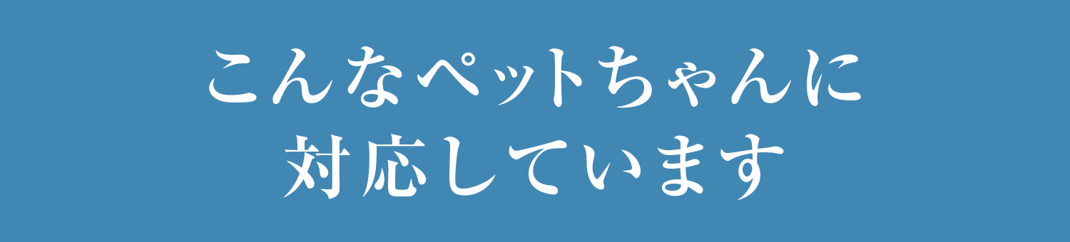 こんなペットちゃんに対応しています