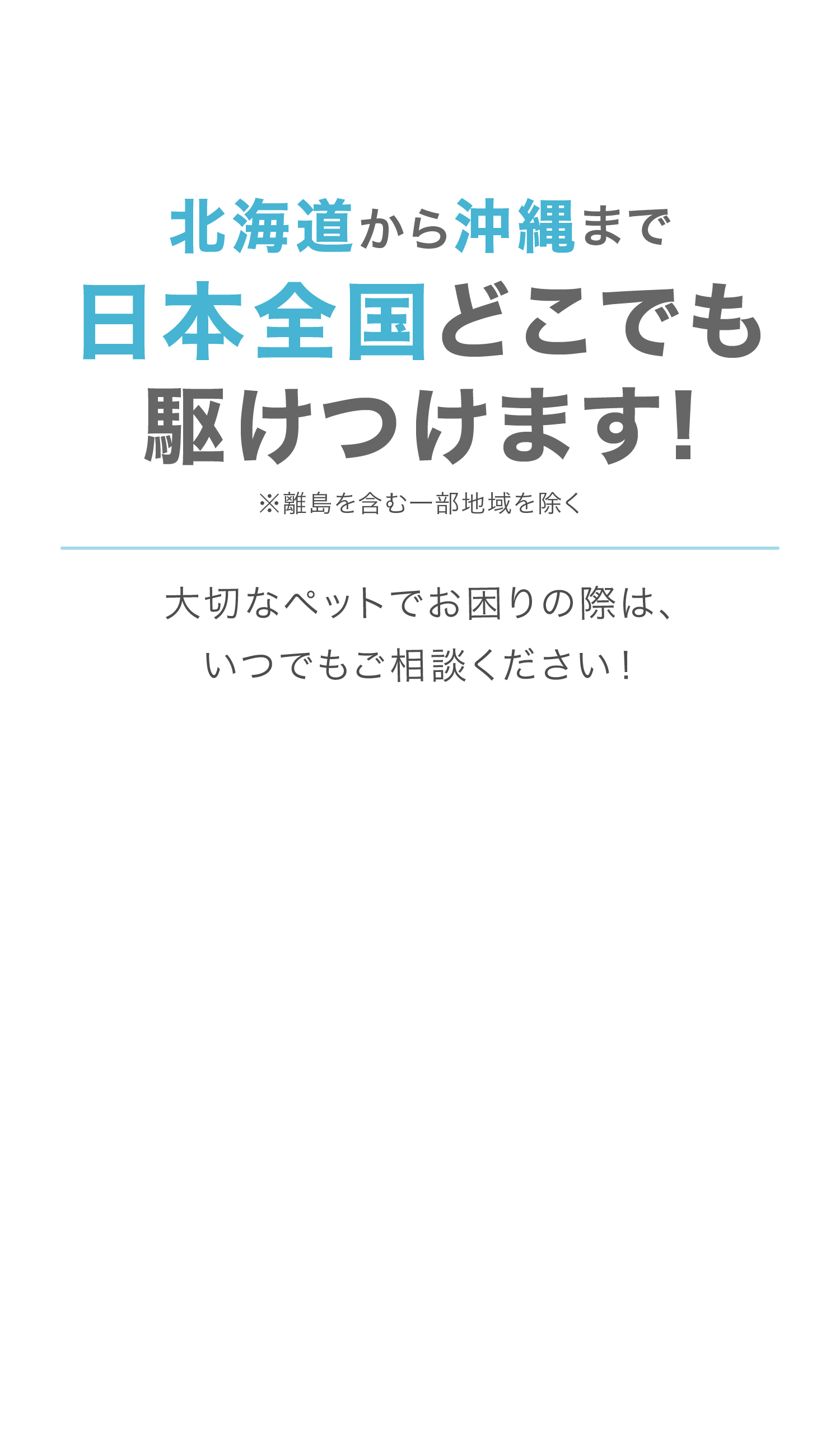 北海道から沖縄まで日本全国どこでも駆けつけます!※離島を含む一部地域を除く