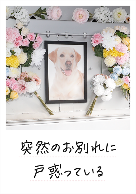 突然のお別れに戸惑っている