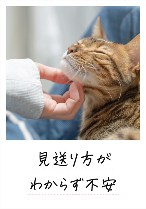 突然のお別れに戸惑っている